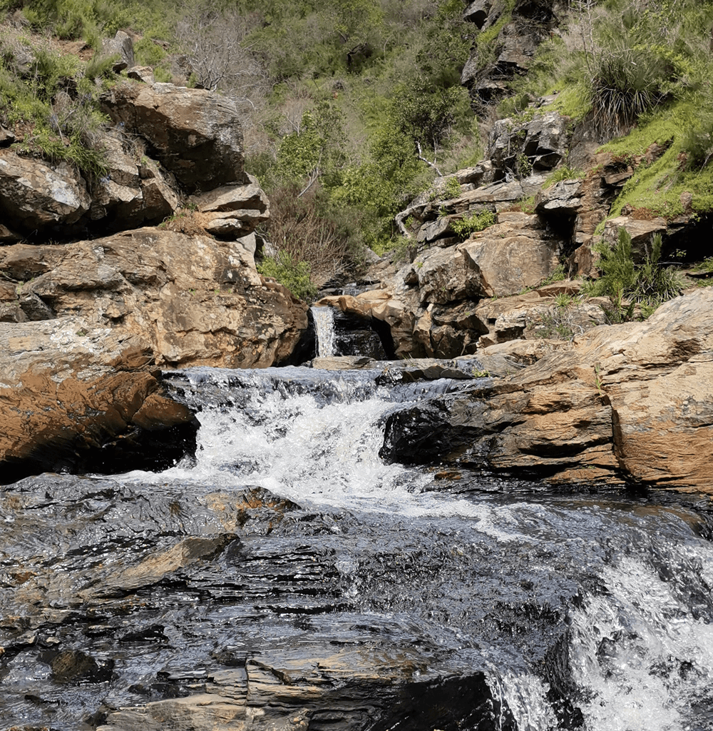 La Poza Del Encanto