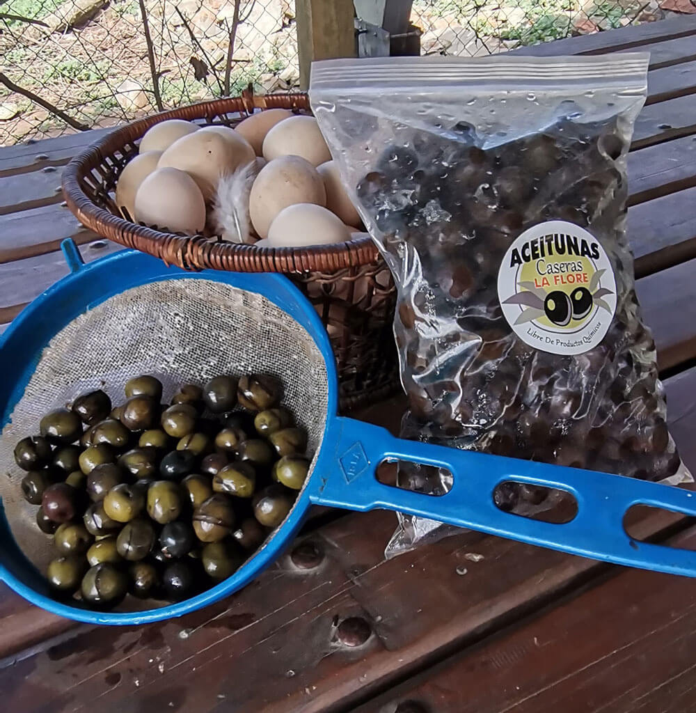 Aceitunas caseras y huevos de campo “la Flore”